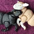 IMG_20250403_144505717.jpg Articulated Sheep