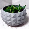 WhatsApp-Image-2025-04-13-at-20.55.35_cc1e6d0f.jpg Vaso para plantas de secretária