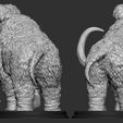 MM5.jpg Mammoth