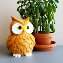 a9bdc09732518c986805bb4b0d9673c5_display_large.jpg Free STL file Multi-Color Owl Jar・3D printable model to download