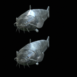 Catfish-Europe-8.png FISH WELS CATFISH / SILURUS GLANIS solo model detailed texture for 3d printing