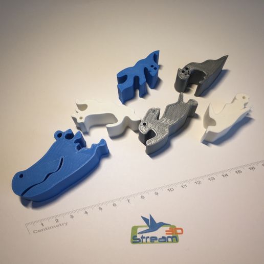 IMG_5241.jpg Free STL file Alligator 3D puzzle・Object to download and to 3D print, Stream3D