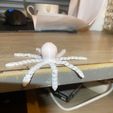 IMG_6363.jpg articulated octopus