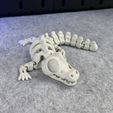 IMG_4060.jpg Articulated Skeleton Crocodile
