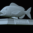 Dentex-mouth-statue-63.png fish Common dentex / dentex dentex open mouth statue detailed texture for 3d printing