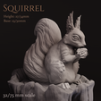 Preview1.png Squirrel