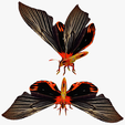 portadah.png DOWNLOAD BUTTERFLY 3D MODEL - ANIMATED - 3D PRINTING - MAYA - BLENDER 3 - 3DS MAX - UNITY - UNREAL - CINEMA 4D -  OBJ - FBX - 3D PROJECT CREATE AND GAME READY BUTTERFLY INSECT - DRAGON