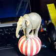 20251007_172622.jpg Elephant on a ball