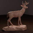 deer-side.png Archivo 3D Ciervo de cola blanca・Diseño imprimible en 3D para descargar