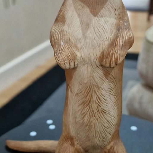 20230801_132640.jpg Furet