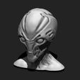 13.jpg Alien Bust 6 - Extraterrestrial Sculpture STL File 3D print