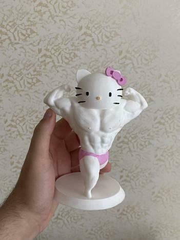 IMG_6462.jpg Muscle Hello Kitty