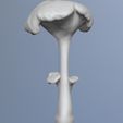 2023-04-21-10_33_44-ZBrush.jpg naturalist sculpture mushrooms girolle