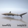 Cults-Shark-low-poly2.jpg Shark - low poly