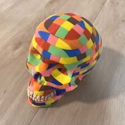 Building Blocks Skull