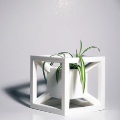 DSCN1196_carre.jpg Archivo STL Hypervase Type A・Diseño para descargar y imprimir en 3D