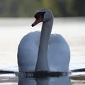 Ralf3d