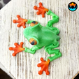 4.png Cinder Frog, Articulating Frog, Tree Frog, Dart Frog, Cinderwing3D, Articulating Flexible Fidget Cute Print in Place No Supports