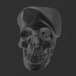 CraneoBoina.jpg Skull Skull Skull Cranium Beret - Military - Matte/Potted