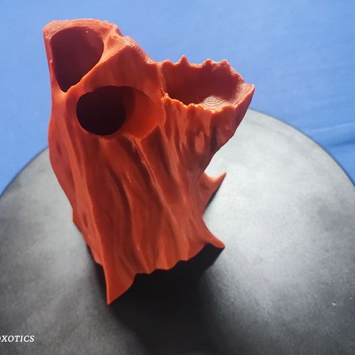 IMG_20250904_104052.jpg Arachnoxotics Arboral Hide v2