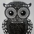 012-02.jpg OWL II (Owls) 2D