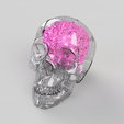 Futuristic-Skull-with-brain-Transparent.png Futuristic Skull [with brain]