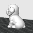 Captura-de-pantalla-2025-12-08-a-la-s-00.16.23.png Poodle mix dog