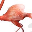 A15.jpg DOWNLOAD Flamingo 3D MODEL ANIMATED - BLENDER - 3DS MAX - CINEMA 4D - FBX - MAYA - UNITY - UNREAL - OBJ -  Flamingo DINOSAUR DINOSAUR Flamingo DINOSAUR BIRD