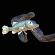 pike-high-quality-1-13.png big old pike underwater statue on the wall detailed texture for 3d printing