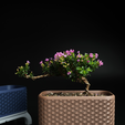 150_Rectangle_Kumiko-Bonsai-Planter-7.png Kumiko Bonsai Planter with Legs (Rectangle)