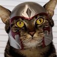 IMG_3300.jpeg Magnito Cat Helmet (X-Men)🪙