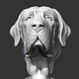 02.png Spanish Mastiff Head AM30 3D print model