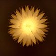 20230919_171750.jpg Flower Lamp