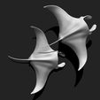 02_manta-ray-mantas-3d-print-aquarium-3d-model-1381fc1a18.jpg Manta Ray - Mantas - 3D Print - Aquarium