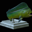 mahi-mahi-model-1-11.png fish mahi mahi / common dolphin trophy statue detailed texture for 3d printing