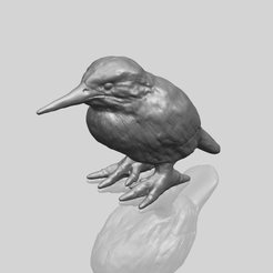 TDA0752_KingfisherA00-1.png 3D-Datei Kingfisher kostenlos・3D-druckbares Modell zum herunterladen