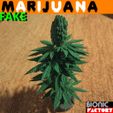 fake-marijuana-logo-2.jpg MARIJUANA - CANNABIS FAKE
