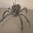 10.jpg Grounded 2- Max and Orb weaver Spider