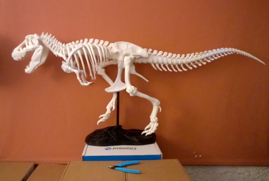 T-Rex_Skeleton.jpg Fichier STL gratuit T-Rex Squelette Queue réparée (A+B)・Modèle à télécharger et à imprimer en 3D, topedesigns