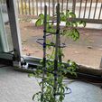 415e76b3-4c58-4ff2-8304-00ac13aeff82.jpeg Estaca de tomate - Estaca de planta