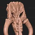 15.jpg 3D file Mythosaur Skull High Quality - Mandalorian Starwars Movie・Template to download and 3D print