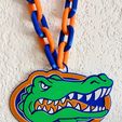 IMG_6482.jpeg Florida Gators Rede NCAAF
