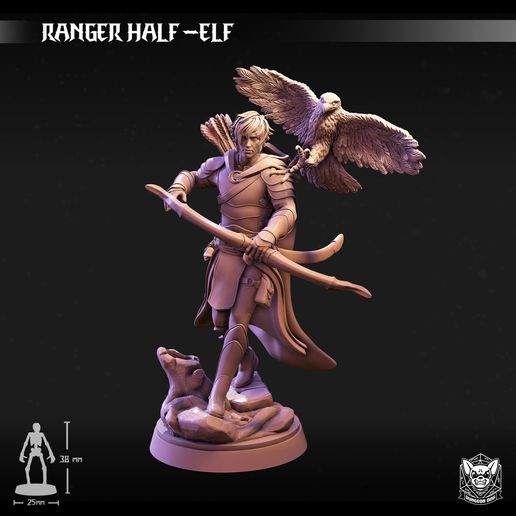 Ranger Half Elf