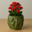IMG_٢٠٢٥٠٤١٠_١٥٣١١٧.jpg Olive Green 3D Printed Crumpled Planter with Red Plant on Desk   ---