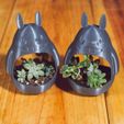 Jardinière Totoro