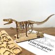 veloci_set-pic3.jpg [3Dino Puzzle] Velociraptor Set (Commercial License Edition)