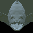 zander-head-trophy-34.png fish head trophy zander / pikeperch / Sander lucioperca open mouth statue detailed texture for 3d printing