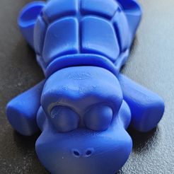 flexi turtle