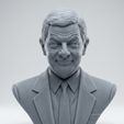 bdac75a7-4327-4cc6-9a5a-7b026887ec0d.jpg Mr. Bean 3D Printable Bust