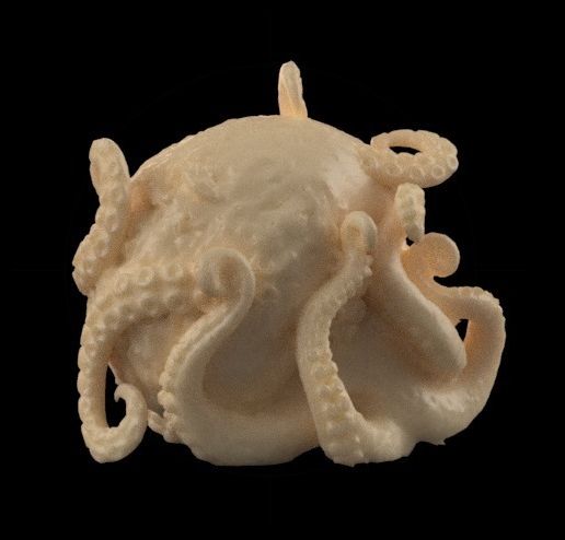 keychain-skull-tentacle-5.jpeg Skull and Tentacles Keychain - Skull and Tentacles Key Chain